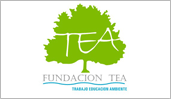 Fundación TEA